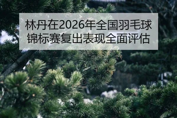 lin-dan-zai-nian-quan-guo-yu-mao-qiu-jin-biao-sai-fu-chu-biao-xian-quan-mian-ping-gu-2-723.jpg