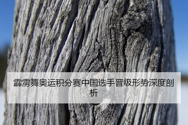 pi-li-wu-ao-yun-ji-fen-sai-zhong-guo-xuan-shou-jin-ji-xing-shi-shen-du-pou-xi-2-226.jpg