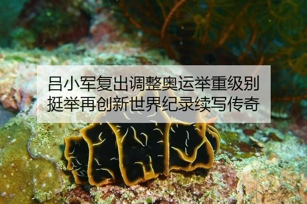 lv-xiao-jun-fu-chu-tiao-zheng-ao-yun-ju-zhong-ji-bie-ting-ju-zai-chuang-xin-shi-jie-ji-lu-xu-xie-chuan-qi-3-586.jpg