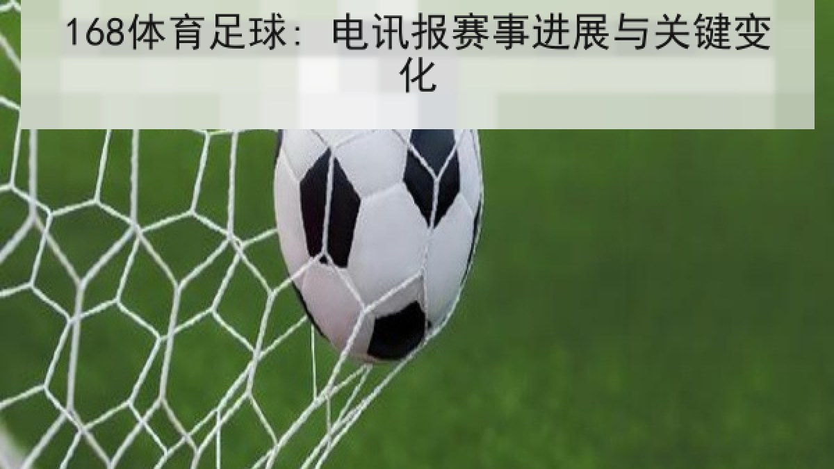 168体育足球: 电讯报赛事进展与关键变化