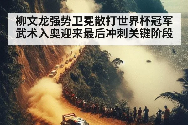 柳文龙强势卫冕散打世界杯冠军 武术入奥迎来最后冲刺关键阶段